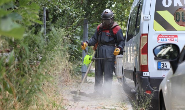 Kartal&#039;da yabani otlar biçilerek temizlik çalışmaları yapılıyor