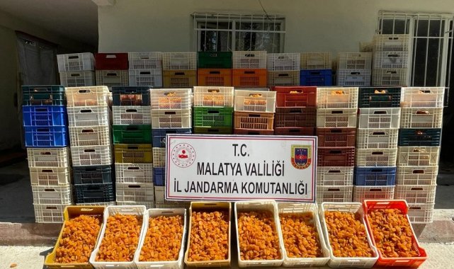 Kayısı hırsızlığı olayları güvenlik kameraları incelenerek çözüldü