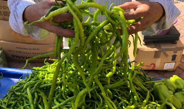Kışa hazırlık yapanlar biber ve patlıcan satışlarında yoğunluk oluşturdu