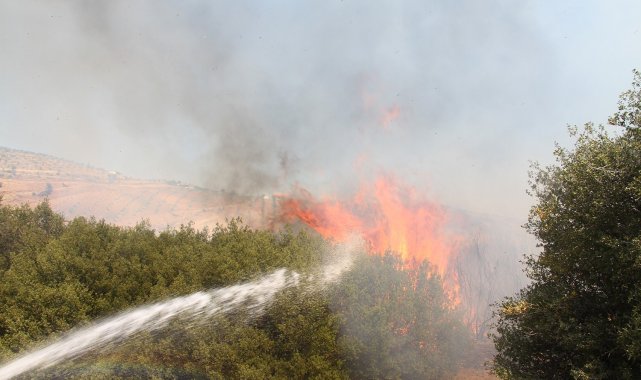 Kula&#039;da 7 dönüm zirai alan yandı