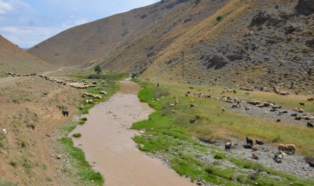 Kuraklık sonrası aşırı yağışlar sele neden oldu