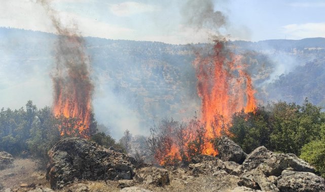 Mahallede anonsu duyan yangına koştu