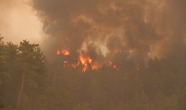 Mahalleyi teğet geçen alevler ormanlık alanda metrelerce havaya yükseldi