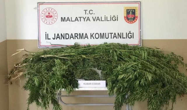 Malatya&#039;da 1 kilo esrar ele geçirildi