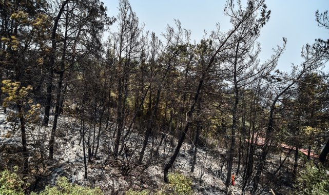 Marmaris&#039;te siteye kadar inen yangında faciadan dönüldü