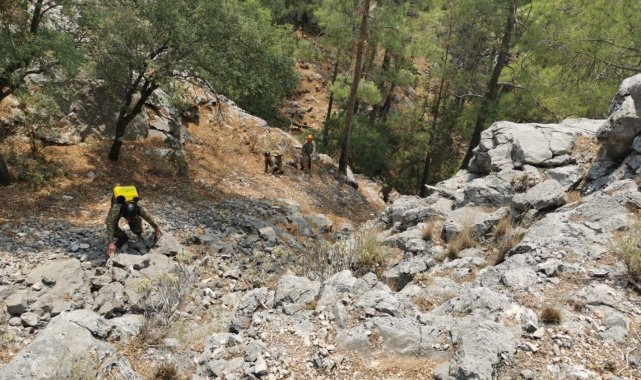 Mehmetçik, Isparta Valiliği'nin talebi üzerine Eğirdir'deki yangın soğutma çalışmalarına destek oluyor
