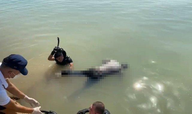 Mersin&#039;de balıkçı barınağında ceset bulundu