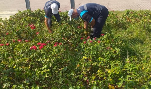 Mesire yerleri ve yeşil alanlarda temizlik çalışması