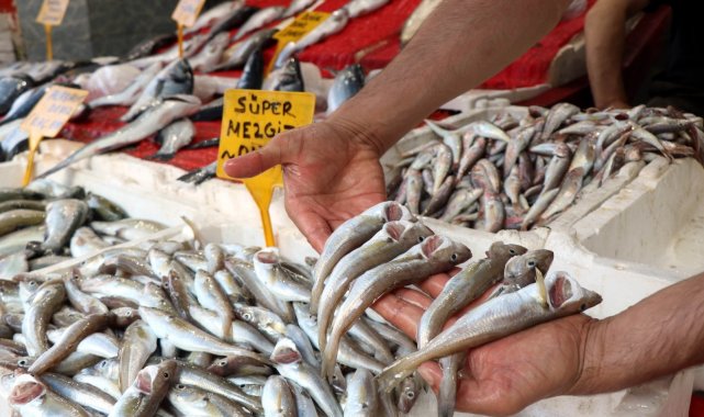 Mezgit ve barbun tezgaha gelince balığa rağbet arttı
