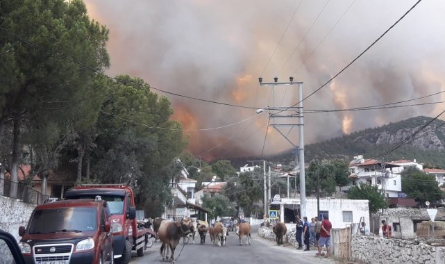 Milas'ta alevler yerleşim bölgesine ulaştı, Gökbel köyü boşaltıldı