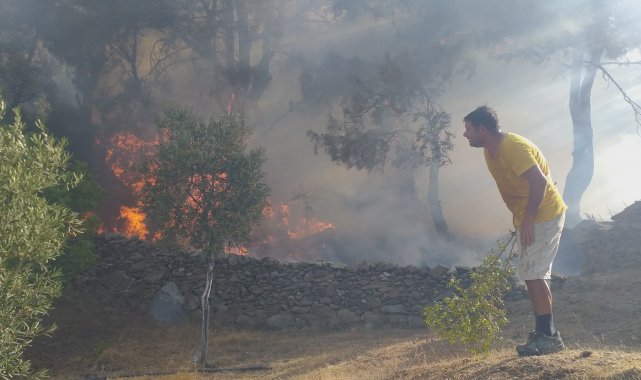 Milas&#039;ta başlayan orman yangını Bodrum&#039;a sıçradı, söndürme çalışmaları devam ediyor