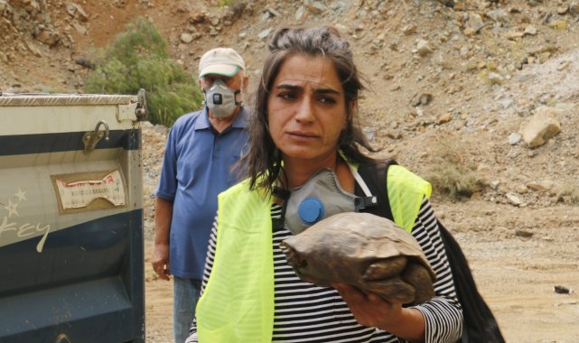 Muğla&#039;da dumanlar içerisinde kalan kaplumbağaya ekiplerden can suyu