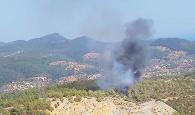 Muğla&#039;da orman yangını