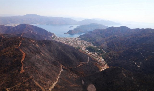Muğla&#039;nın orman varlığı yüzde 60&#039;a düştü