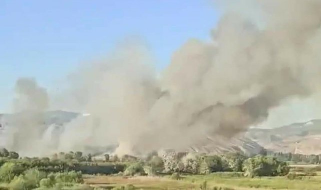 Nallıhan Kuş Cenneti&#039;nde yangın