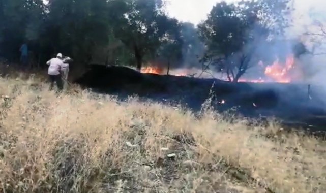 Nazilli&#039;de zirai alanda yangın çıktı