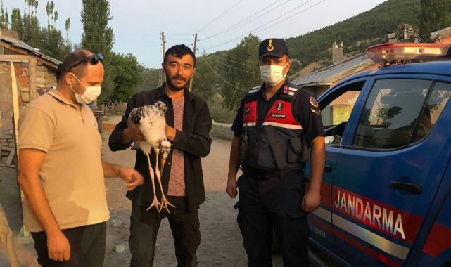 Nesli tükenme altında, köylüler buldu