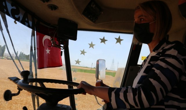 Nevşehir Valisi Becel, biçerdövere binerek hasat yaptı