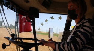 Nevşehir Valisi Becel, biçerdövere binerek hasat yaptı