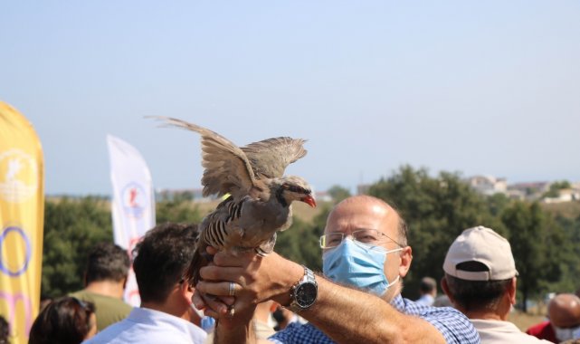 OMÜ&#039;de kampüse keklik ve sülün salındı