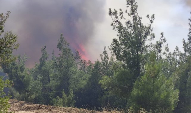 Orman yangını bir mahalleyi tehdit ediyor