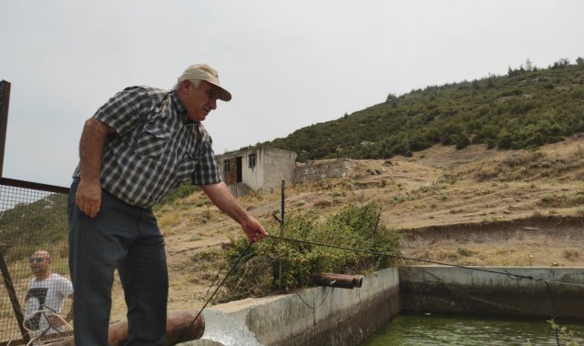 Orman yangını hızlı müdahaleyle büyümeden söndürüldü
