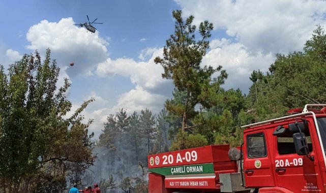 Orman yangını hızlı müdahaleyle söndürüldü