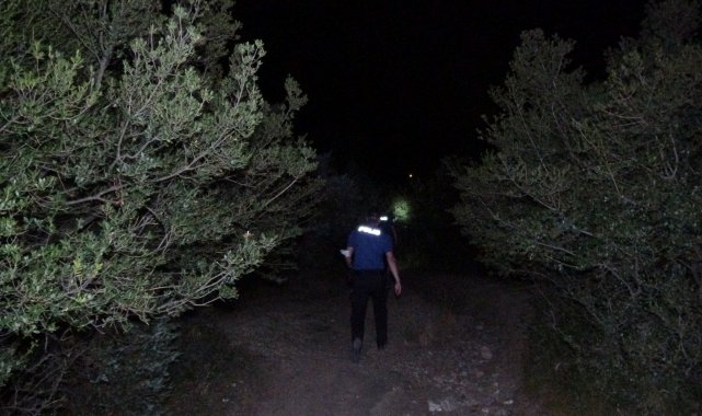 Orman yangını sanıldı, çiftlik yangını çıktı