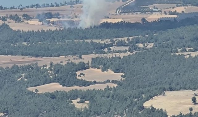 Orman yangını vatandaş ve ekiplerin müdahalesiyle söndürüldü