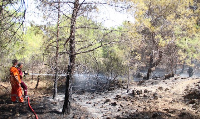 Ormana giriş yasağını delip haberleri olmadığını söylediler