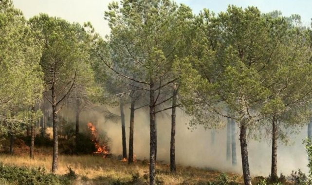 Ormanlık alanda çıkan yangın büyümeden söndürüldü