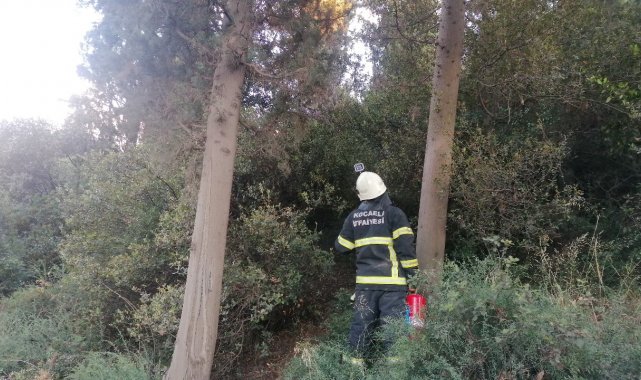 Ormanlık alanda yeniden çıkan yangını muhtar söndürdü