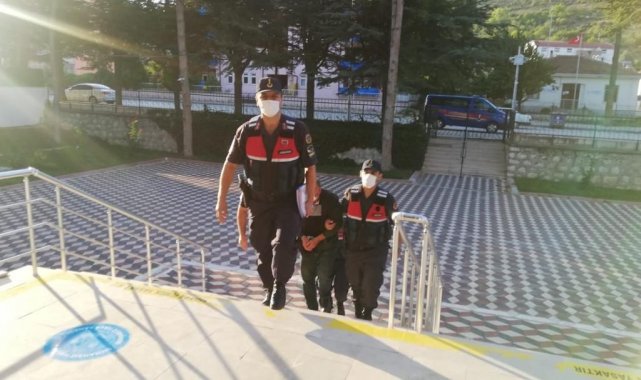 Ormanlık alanı esrar tarlasına çeviren şahsı jandarma yakaladı