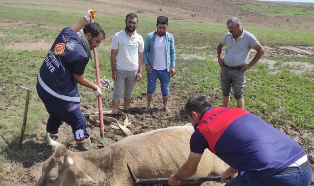 Özalp&#039;ta çamura saplanan büyükbaş hayvan kurtarıldı