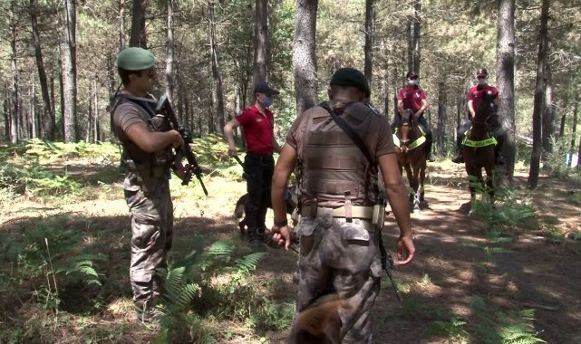 Özel harekat ve atlı polisler, yangına karşı orman denetimi yaptı