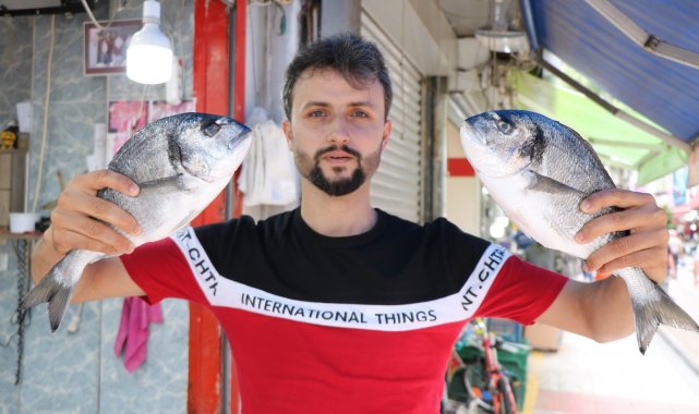 Palamut yüz göstermedi