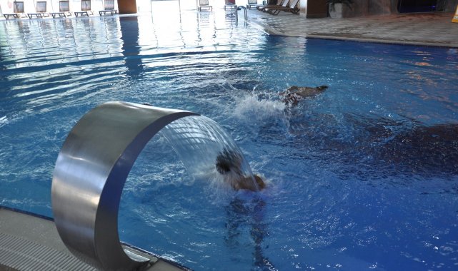 Pandemiyle birlikte Türkiye&#039;de termal turizm alışkanlıkları da değişti