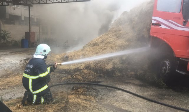 Park halindeki kamyonun kasasındaki samanlar yandı