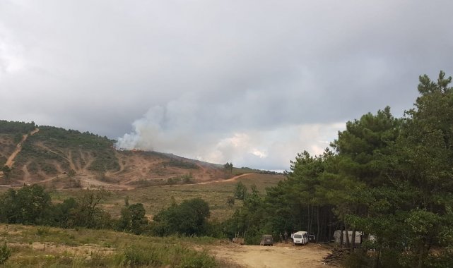 Pendik&#039;te orman yangınına havadan ve karadan müdahale