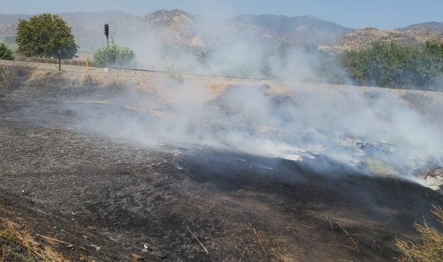 Proje çalışması için depolanan zeytin yaprakları yandı