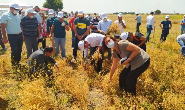 &quot;Tarla Günü&quot; etkinliği düzenlendi
