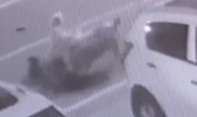 Rize&#039;de sokak köpekleri saldırdıkları kadını yerlerde sürükledi