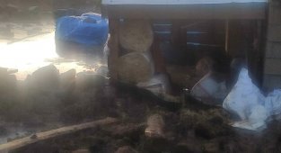 Sağanak yağış dereyi taşırdı