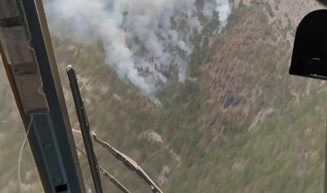 Saimbeyli&#039;de orman yangını