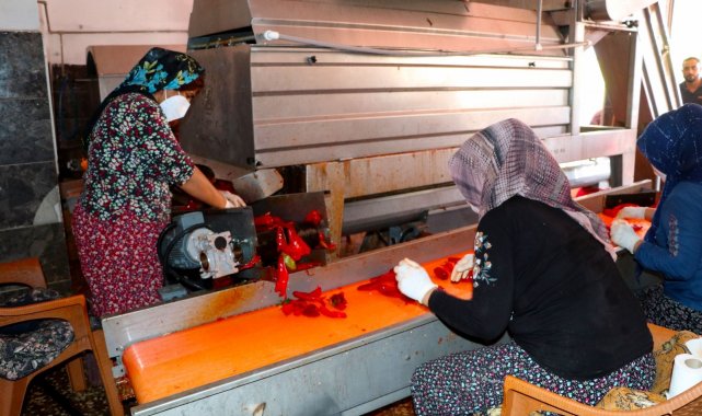 Salça imalathanelerinde yoğun mesai