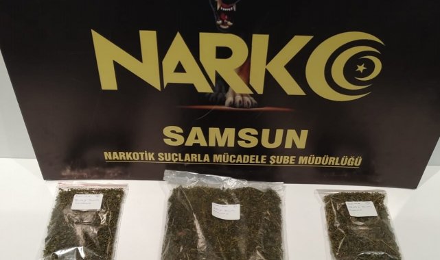 Samsun&#039;da metruk binada 5 paket bonzai ele geçirildi: 1 gözaltı