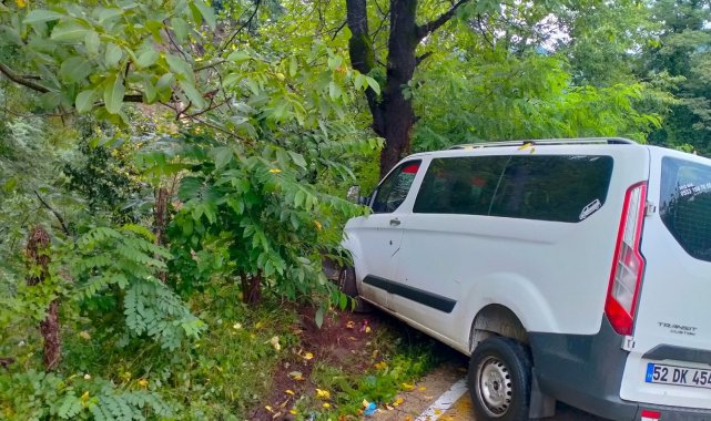 Samsun&#039;da minibüs ağaca çarptı: 2 yaralı