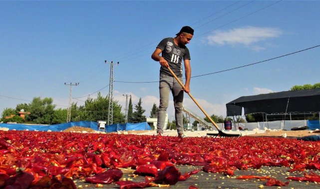 Şanlıurfa&#039;da acı telaş