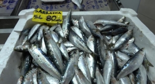 Sardalyanın kilosu 80, tanesi ise 3 lira oldu