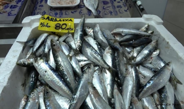 Sardalyanın kilosu 80, tanesi ise 3 lira oldu